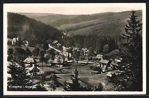 AK Wildenthal / Erzegbirge, Totalansicht