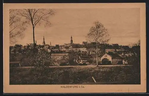 AK Waldenburg i. Sa., Panorama