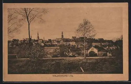 AK Waldenburg i. Sa., Panorama