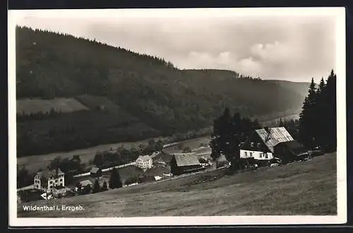 AK Wildenthal / Erzgeb., Gesamtansicht