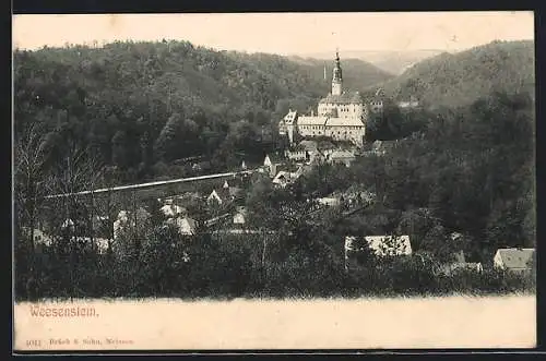 AK Weesenstein, Ortsansicht mit Schloss aus der Vogelschau