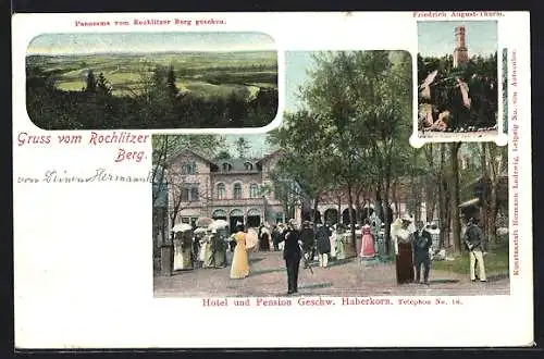 AK Rochlitz, Hotel und Pension Geschw. Haberkorn, Friedrich August-Turm, Panorama vom Rochlitzer Berg aus gesehen