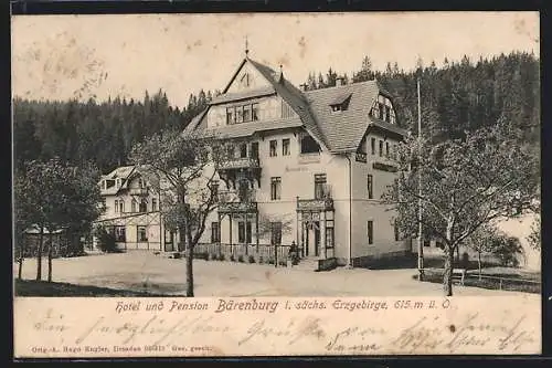 AK Bärenburg / Erzgeb., Hotel und Pension Bärenburg