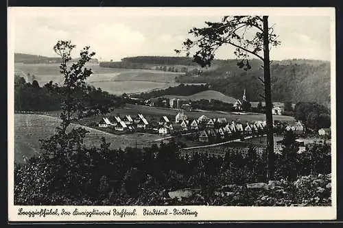 AK Bad Berggiesshübel, Siedlung aus der Vogelschau