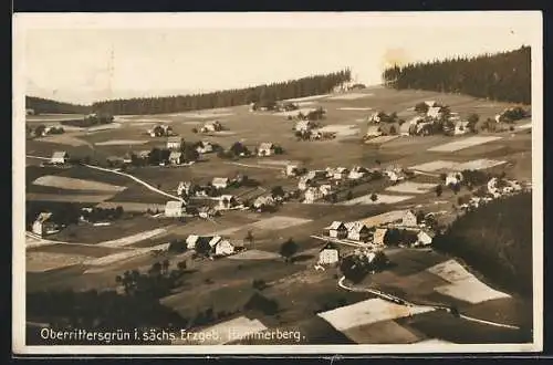 AK Oberrittersgrün i. Erzgeb., Siedlung Hammerberg