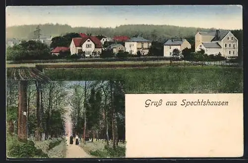 AK Spechtshausen, Panorama, Wegpartie