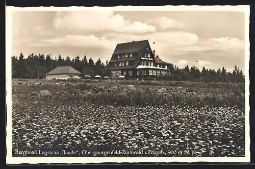 AK Obergeorgenfeld-Zinnwald / Erzgeb., Berghotel Lugstein-Baude