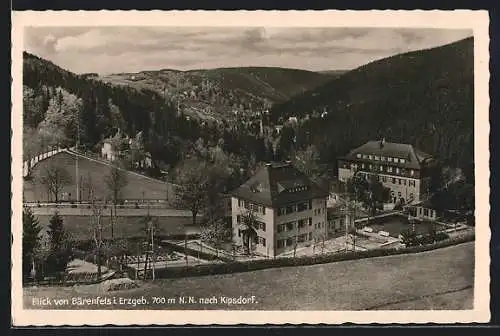 AK Bärenfels / Erzgeb., Blick nach Kipsdorf