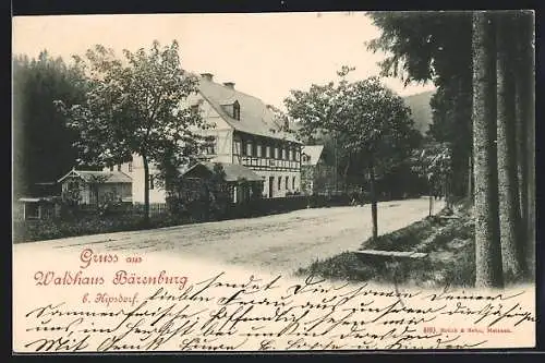 AK Kipsdorf, Hotel Waldhaus Bärenburg