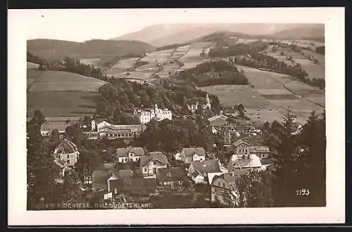 AK Niederlindewiese, Totalansicht aus der Vogelschau