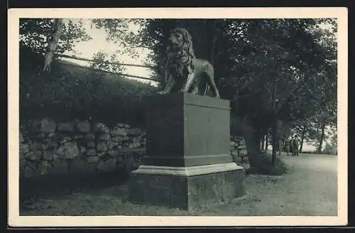 AK Bad Gräfenberg / Lázne Gräfenberk, Ungar. Löwe, Uhersky Lev