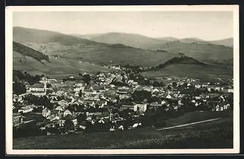 AK Freiwaldau, Totalansicht