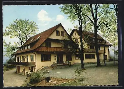 AK Haslach / Schwarzwald, Höhengasthaus Nillhof, Bes. H. Moser
