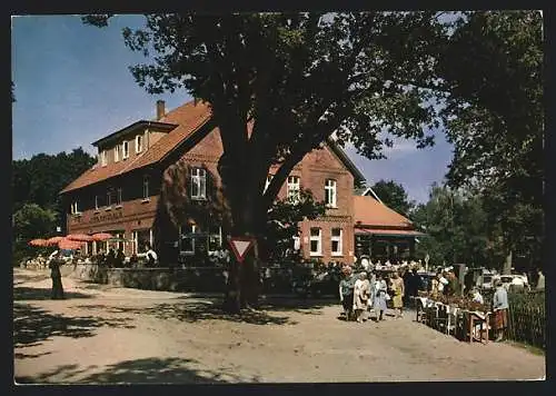 AK Undeloh / Lüneburger Heide, Witte's Gasthof