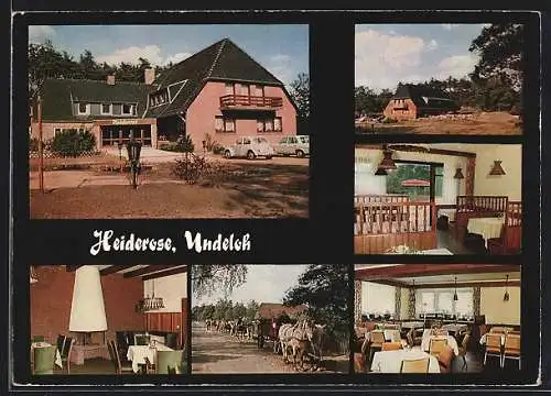 AK Undeloh / Lüneburger Heide, Gast- und Pensionshaus Heiderose, Inh. Fam. Wischhof
