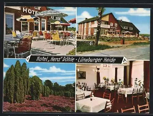AK Döhle / Harburg, Hotel-Restaurant Hera, Aussen- und Innenansichten