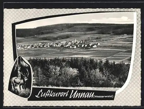 AK Unnau / Westerwald, Totalansicht, Hirsch