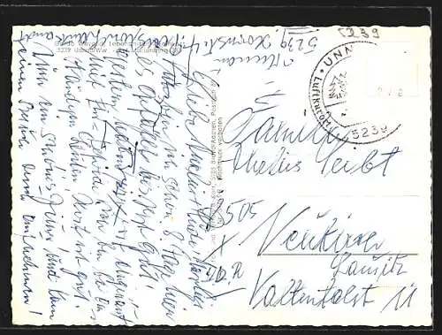 AK Unnau / Westerwald, Totalansicht, Hirsch