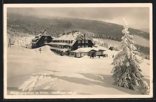 AK Adolfbaude, Baude im Winterglanz