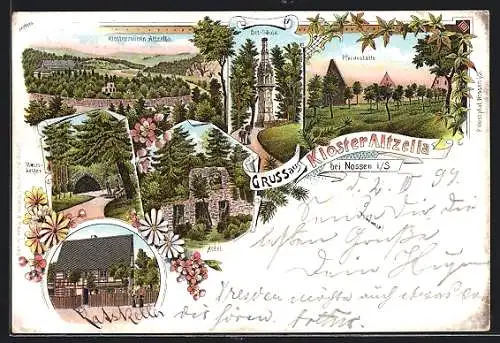 Lithographie Nossen, Kloster Altzella, Abtei, Weinkeller, Betsäule