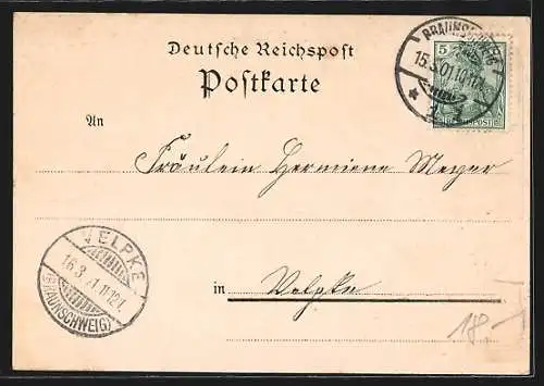 Lithographie Braunschweig, Sieges-Denkmal, Herzogl. Hoftheater, Totalansicht