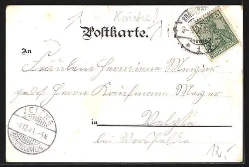 Mondschein-Lithographie Braunschweig, Hagenmarkt, Dom, Villa Löbbecke, Residenzschloss