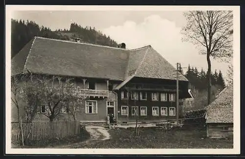 AK Menzenschwand am Feldberg, Gasthaus-Pension Zur Linde