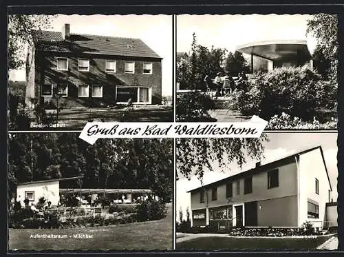 AK Bad Waldliesborn / Lippstadt, Pension Ostholt, Haus Luise, Milchbar mit Aufenthaltsraum