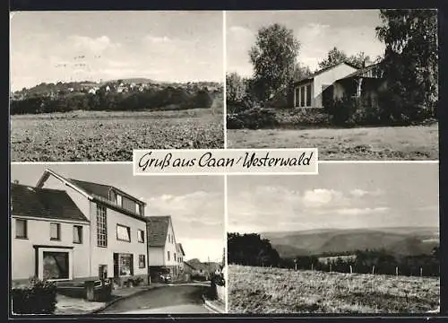 AK Caan / Westerwald, Landschaftsbild, Ortspanorama, Gebäudeansichten