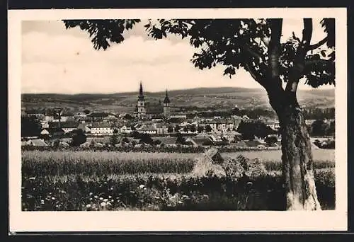 AK Wischau / Vyskov, Panoramablick zum Ort