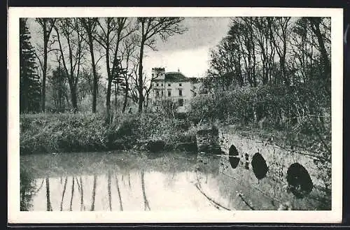 AK Strassnitz, Schloss / Zámek