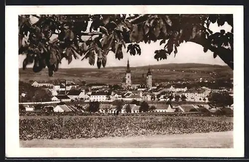 AK Wischau / Vyskov, Blick auf die Stadt