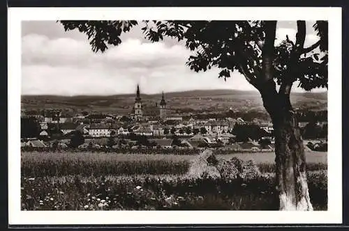 AK Wischau / Vyskov, Panoramablick zum Ort