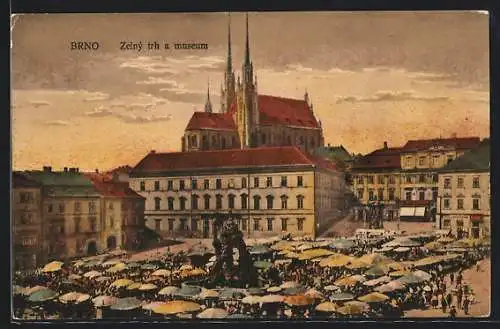 AK Brno, Zelny trh a museum