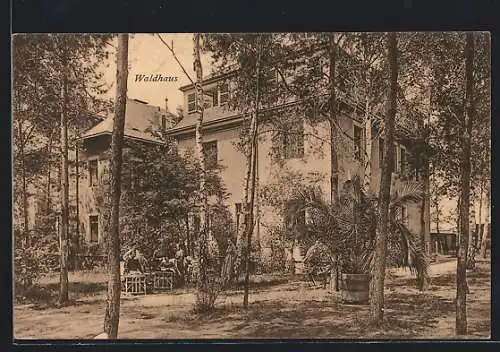 AK Coswig in Sa., Heilstätte Lindenhof