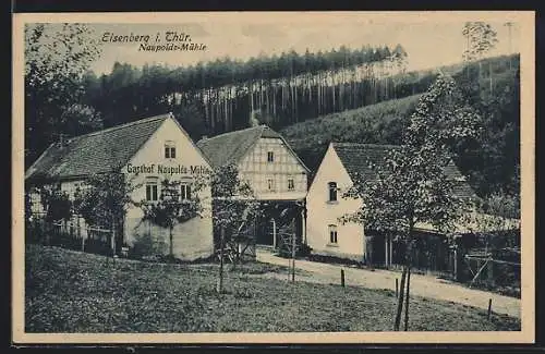 AK Eisenberg i. Thür., Gasthof Naupolds-Mühle