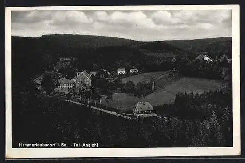 AK Hammerleubsdorf i. Sa., Tal-Ansicht von einem Berg aus