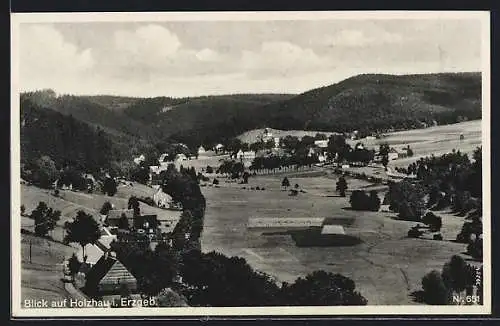 AK Holzhau im Erzgeb., Totalansicht von einem Berg aus gesehen