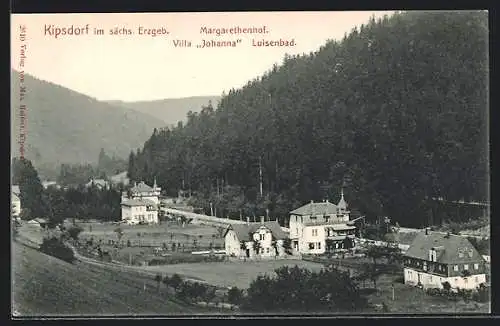 AK Kipsdorf im sächs. Erzgebirge, Margarethenhof, Villa Johanna Luisenbad