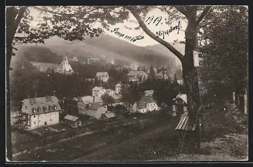 AK Kipsdorf, Blick vom Waldesrand auf die Ortschaft