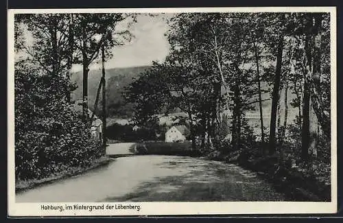 AK Hohburg, Strassenpartie mit Blick zum Löbenberg