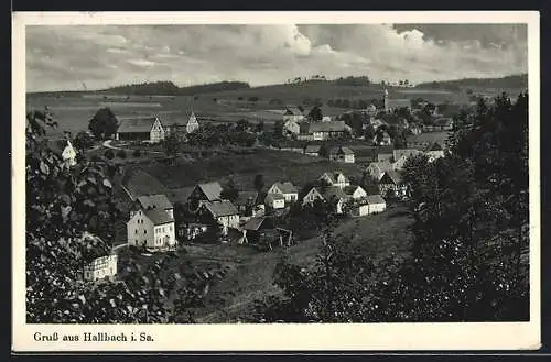 AK Hallbach i. Sa., Gesamtansicht von einem Berg aus