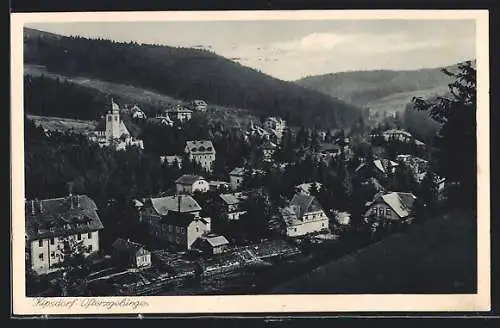 AK Kipsdorf, Blick auf Villenviertel und Kurhaus