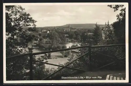 AK Dippoldiswalde i. Sa., Blick vom Pilz