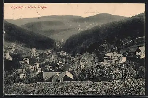 AK Kipsdorf, Totalansicht aus der Vogelschau