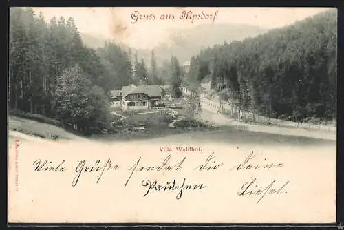 AK Kipsdorf, Blick zur Villa Waldhof