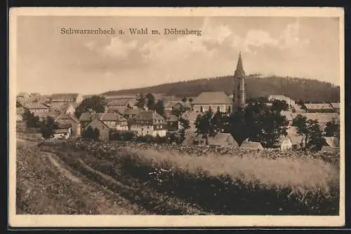 AK Schwarzenbach a. Wald, Totalansicht mit Döbraberg