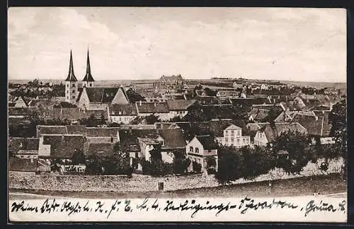 AK Grimma i. Sa., Stadtansicht von einem Berg aus
