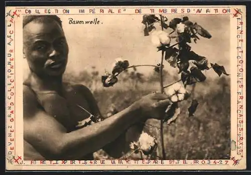 AK Baumwollpflücker präsentiert eine Baumwollpflanze