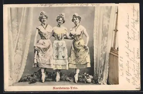 AK Nordstern-Trio, Portrait in Bühnenkleidern